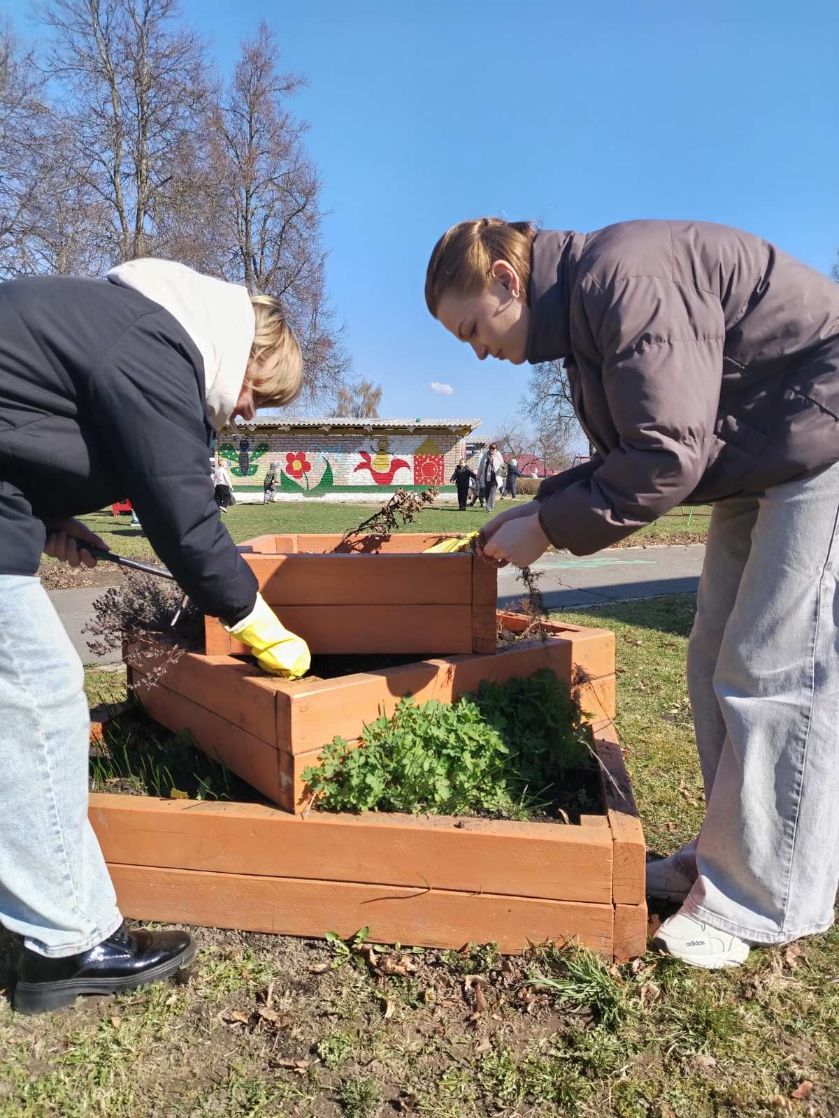 изображение_viber_2026-04-15_15-15-20-146